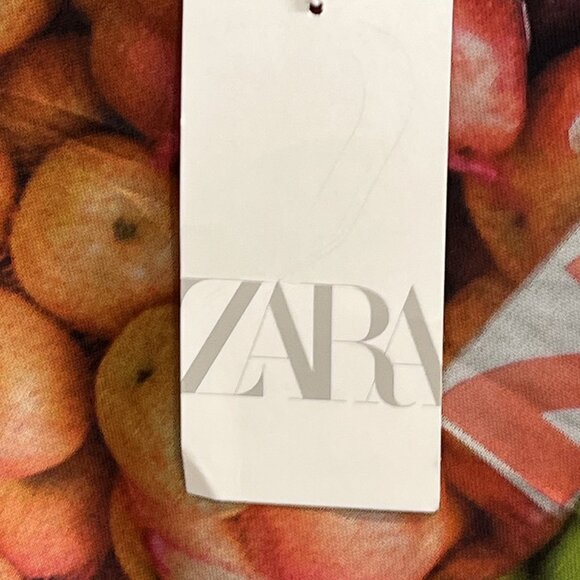 Zara Dress‎ Womens S Ruched Mesh Fruit Stand Strappy Bodycon Maxi Y2K Festival - Picture 3 of 14
